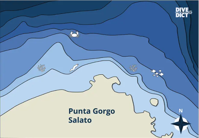 map_Secca_della_Colombara_Utsica_Italien_Italy_tauchen_diving