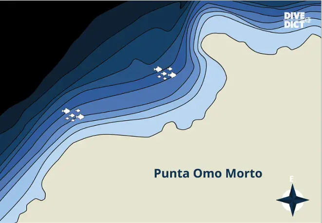 Map_Punta_Falconiera_tauchen_diving-Italien_divemap_Tauchkarte_Italy