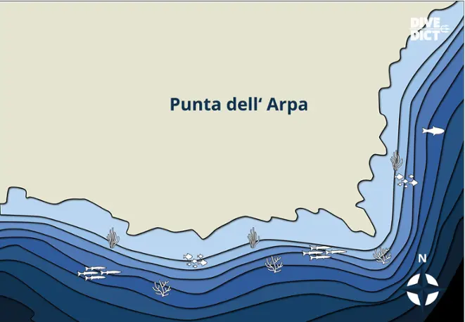 map_Punta_dellArpa_Tauchkarte_divemap_Italy_italien_tauchen_diving