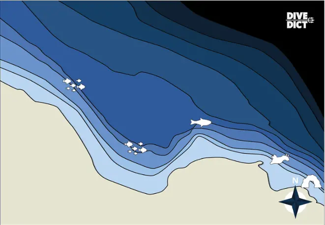 Map_Cala_Giacone_Tauchplatz_divemap_tauchen_diving_Italy_Italien