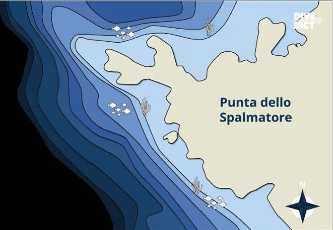 map_Piramidi_Tauchkarte_divemap_tauchen_diving_Italy_italien