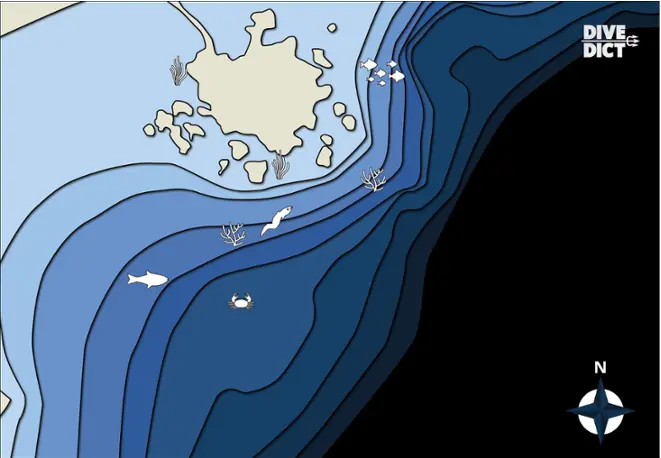 map_bella_sud_Tauchplatz_divemap_tauchen_diving_Italien_Italy
