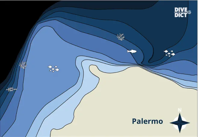 map_Punta_Catalana_Tauchkarte_divemap_tauchen_diving_Italy_Italien