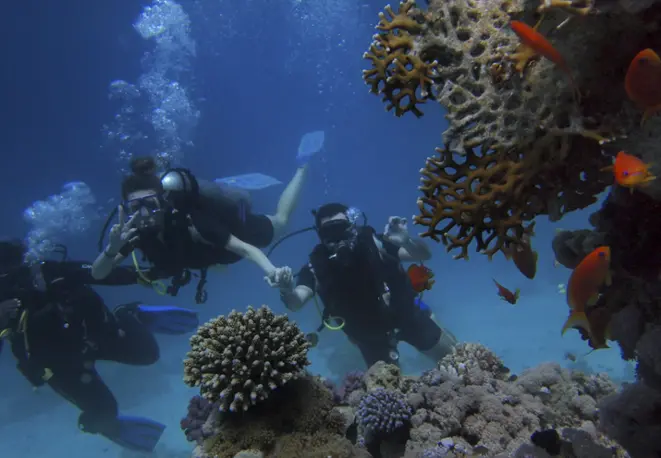 divedict_tipsundtricks_diving_tauchen_mittelmeer_rotes_meer-8