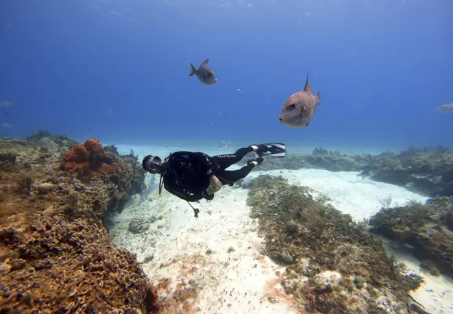 divedict_tipsundtricks_diving_tauchen_mittelmeer_rotes_meer-1 Kopie divedict_tipsundtricks_diving_tauchen_mittelmeer_rotes_meer-1 Kopie