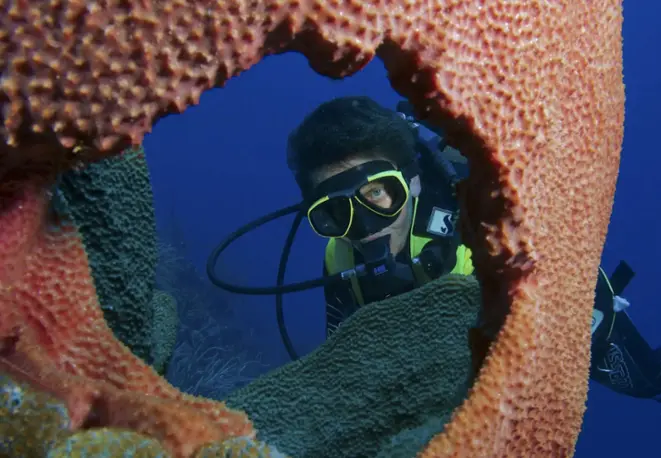 divedict_tipsundtricks_diving_diving_mediterranean red_sea-13