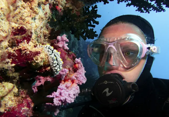 divedict_tipsundtricks_diving_tauchen_mittelmeer_rotes_meer-10