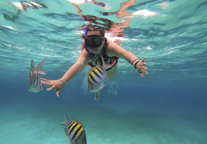 divedict_tipsundtricks_diving_tauchen_mittelmeer_rotes_meer-16