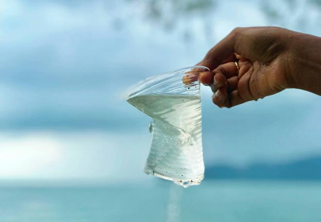 divedict_trash_marine_life_corals_fishes_diving_tauchen_mittelmeer_rotes_meer_hai_shark