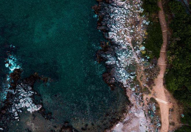 divedict_tauchen_tauchen_tips_lexicon_marine_naturschutz_biologie_trips_chat-1