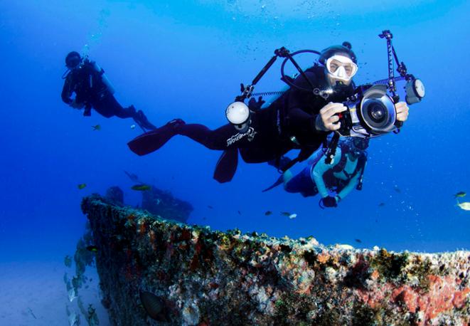 divedict_tauchen_diving_tips_lexicon_marine_conservation_biology_trips_chat-10