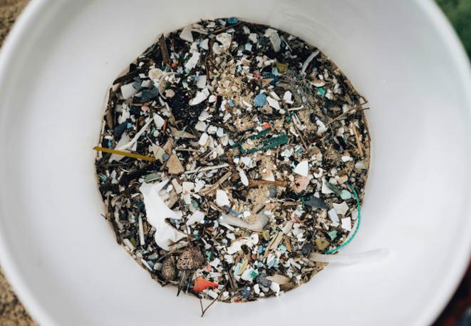 DiveDict_Ocean_News_Fish_divelog_Lexicon_marinebiology_oceanconservation-2