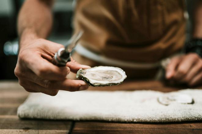 DiveDict_News_Ocean_Meer_Oyster_Dolphin_tauchen_diving-1