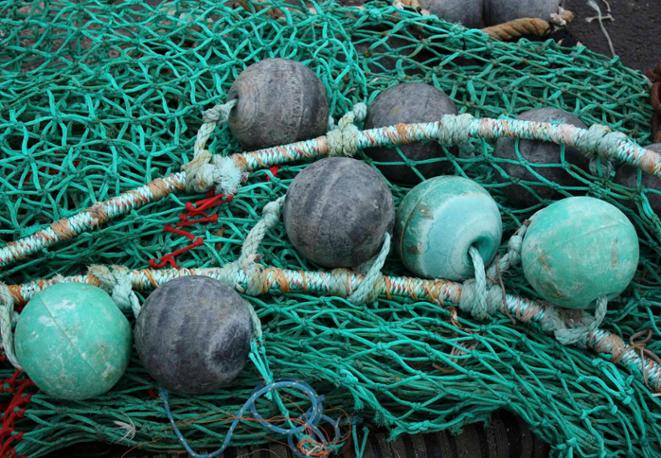 sustainable_ocean_products_divedict_area-ocean-conservation-underwaterworld-tauchen-diving_divedict