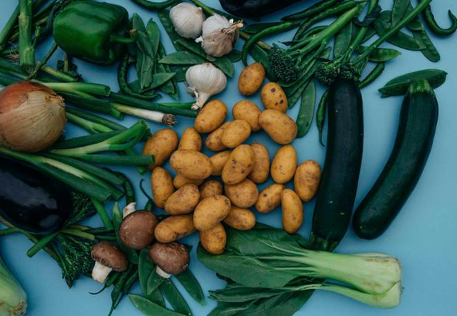 Food_vegan_green_holidays_sustainable_ocean_products_divedict_area-ocean-conservation-underwaterworld-tauchen-diving_divedict