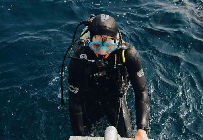 scuba_diving_tauchen_animals_divedict_underwaterworld_diving_tauchen_meer_ocean