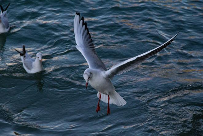 stepan-konev-lGibksEWDh8-unsplash