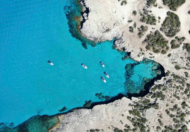 marine politics_diving_tauchen_animals_divedict_underwaterworld_diving_tauchen_meer_ocean