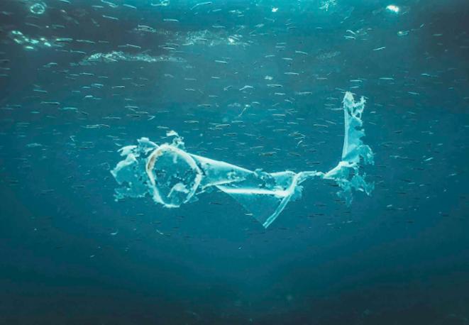 plastic and carbon_diving_tauchen_animals_divedict_underwaterworld_diving_tauchen_meer_ocean