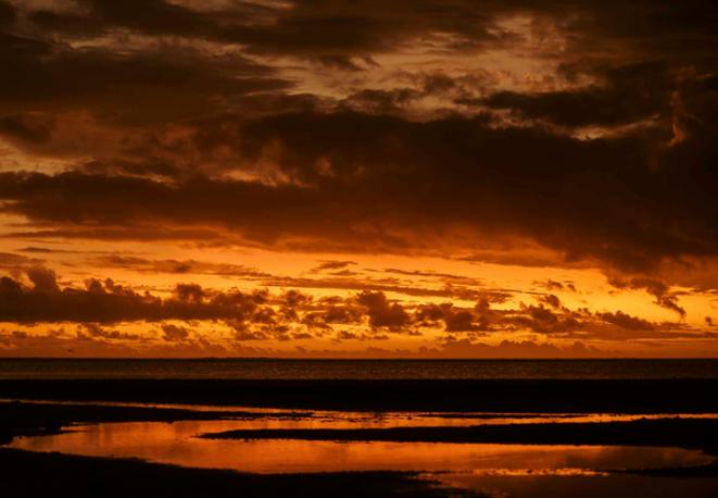 ocean heat_diving_tauchen_animals_divedict_underwaterworld_diving_tauchen_meer_ocean