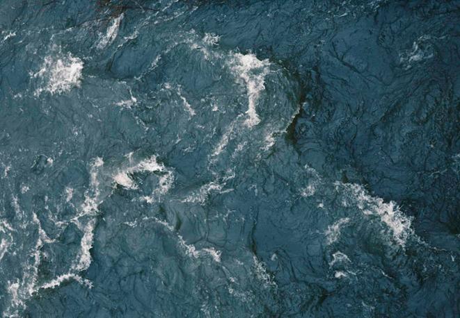 ocean acidification-divedict-tauchen_diving_fish_fisch_eco