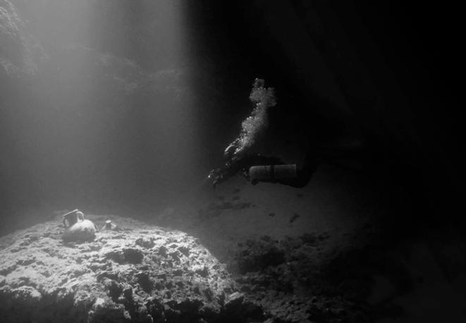 deep sea research_oceanscience-divedict-tauchen_diving_fish_fisch_eco