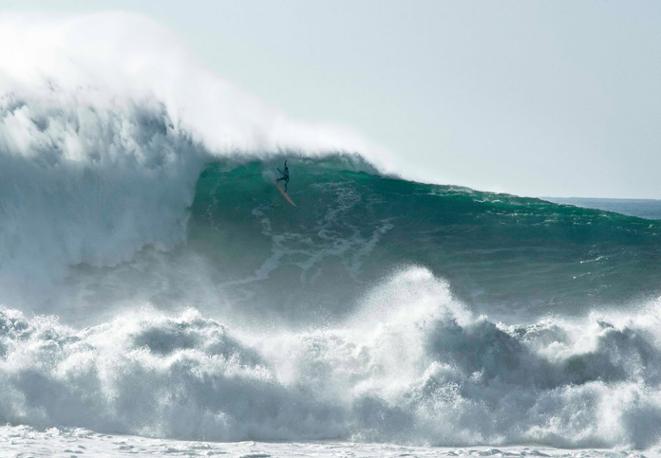 divedict_eco_log_diving_tauchen_underwaterworld_ocean_conservation-4