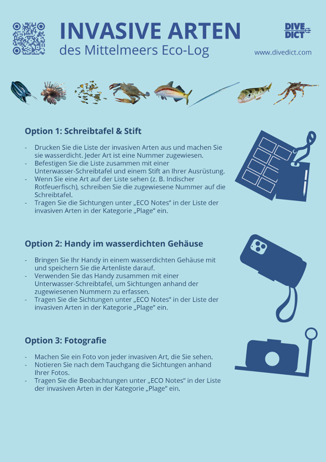 invasive arten guide mittelmeer fish, krabbe, qualle divedict