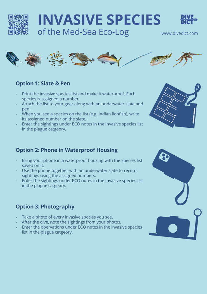 invasive species guide mediterranean sea divedict 