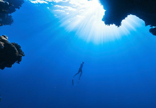 divedict_tauchen_news_diving_fish_underwaterworld_ocean_conservation_eco_log_marine_life-4 divedict_tauchen_news_diving_fish_underwaterworld_ocean_conservation_eco_log_marine_life-4