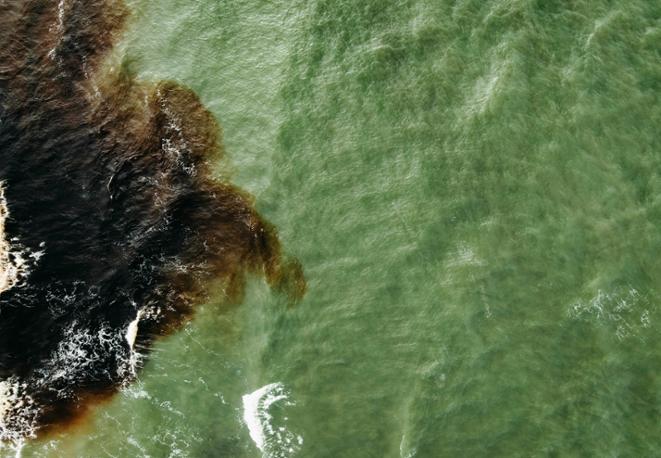 divedict_tauchen_news_diving_fish_underwaterworld_ocean_conservation_eco_log_marine_life-3