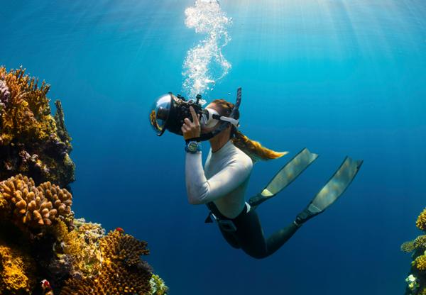 Don't forget to collect eco data on your next dive