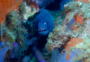 Amphitheater Grbavac