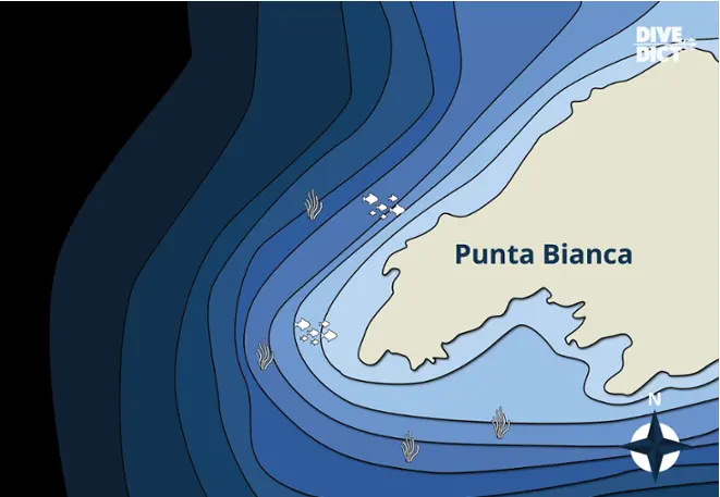 map_Punta_Bianca_Corsica_Frankreich_DiveDict_diving_tauchen