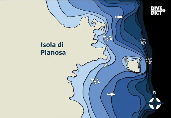 map_pianosa_island2