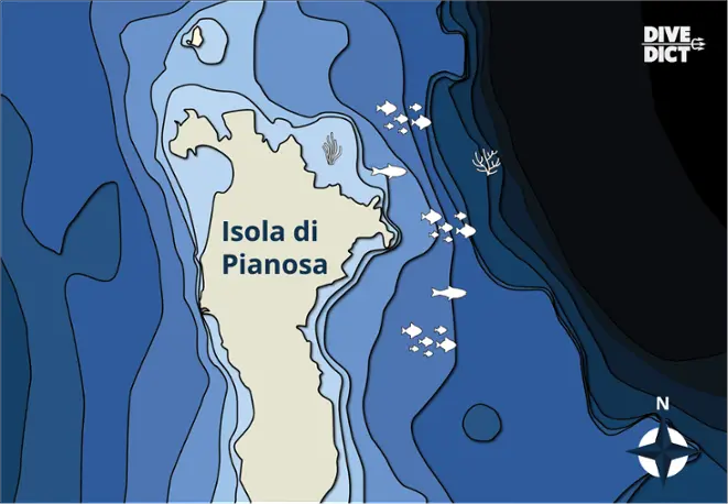 map_pianosa_island