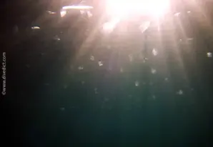 Formische della Zanca