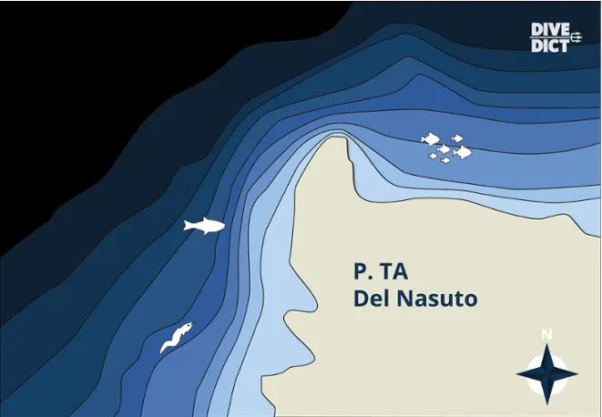 map_Punta_Madonna_Tauchkarte_divemap_tauchen_diving_Italien_Italy