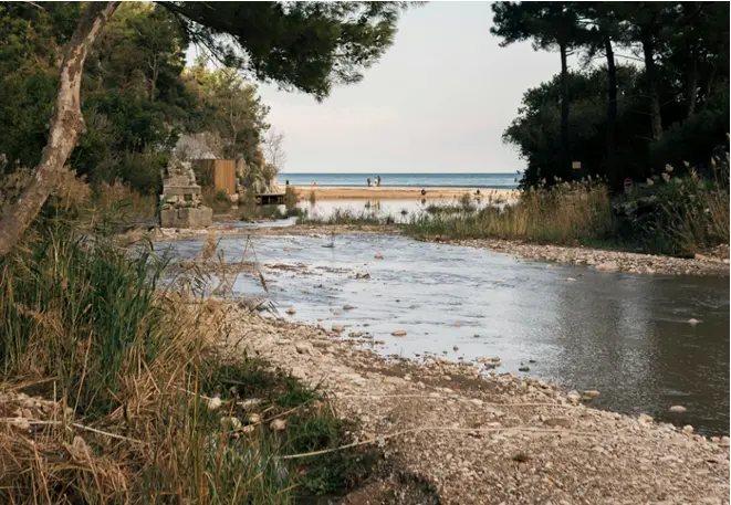 brackwater_divedict_river_ocean_habitate_diving_diving