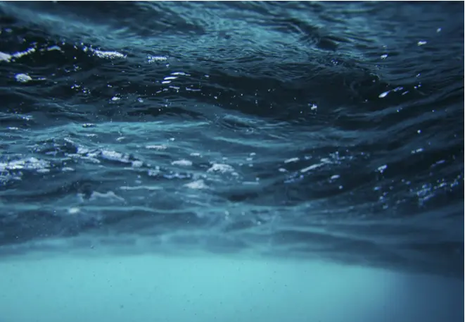 bluewater_divedict_underwater_habitat_habitate