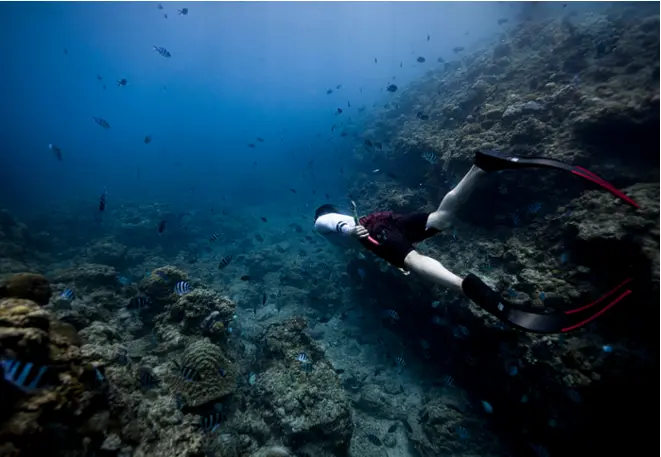 shady_rock_divedict_underwater_habitat_habitat_habitats