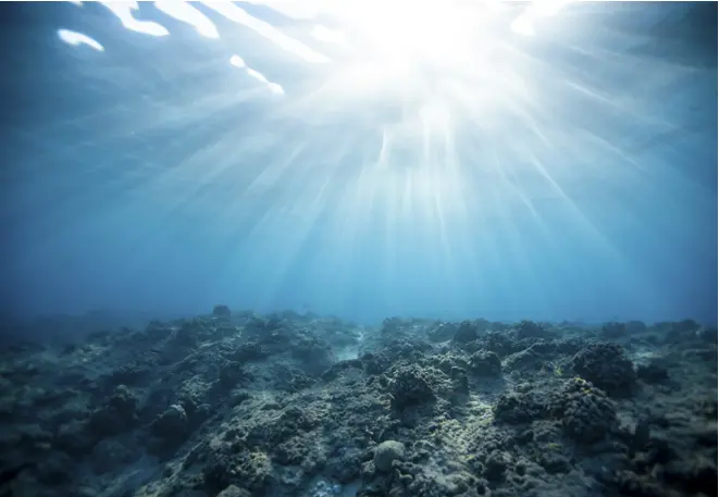 sonniger_felsboden_sunny_rocks_divedict_underwater_habitat_Habitate