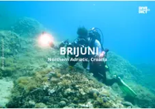 Brijuni