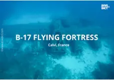 B-17 Flying Fortress