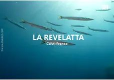 La Revellata