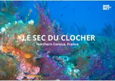 Le Sec Du Clocher