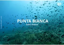 Punta Bianca