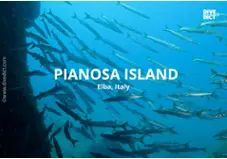 Pianosa Island