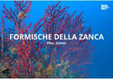 Formische della Zanca