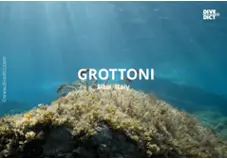 Grottoni